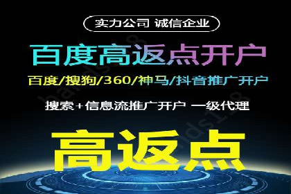 百度竞价代运营成功案例解析